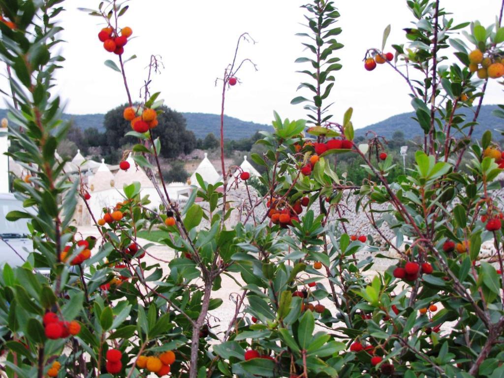 Masseria Quis Ut Deus Crispiano Ngoại thất bức ảnh